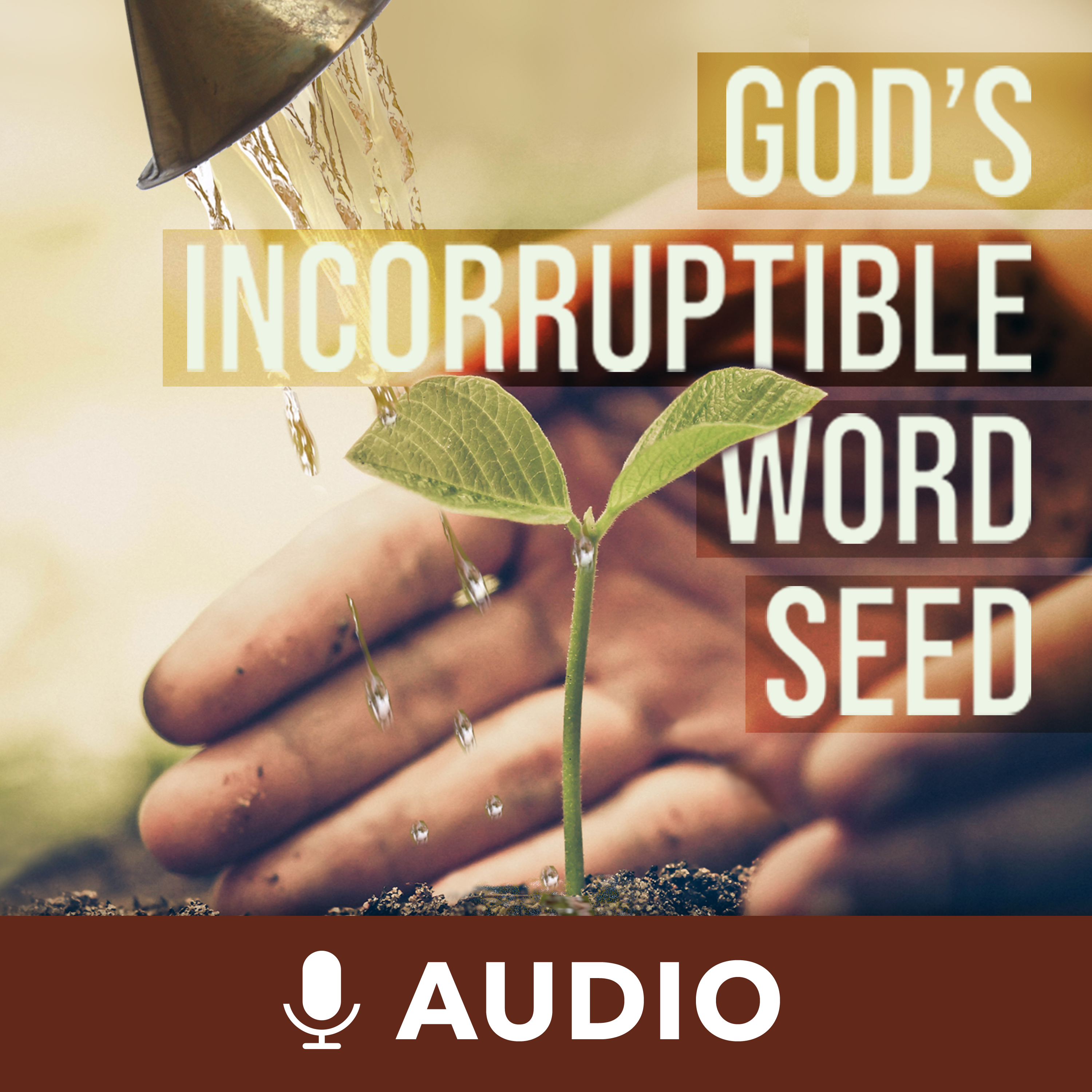 God's Incorruptible Word Seed (Audio) podcast artwork