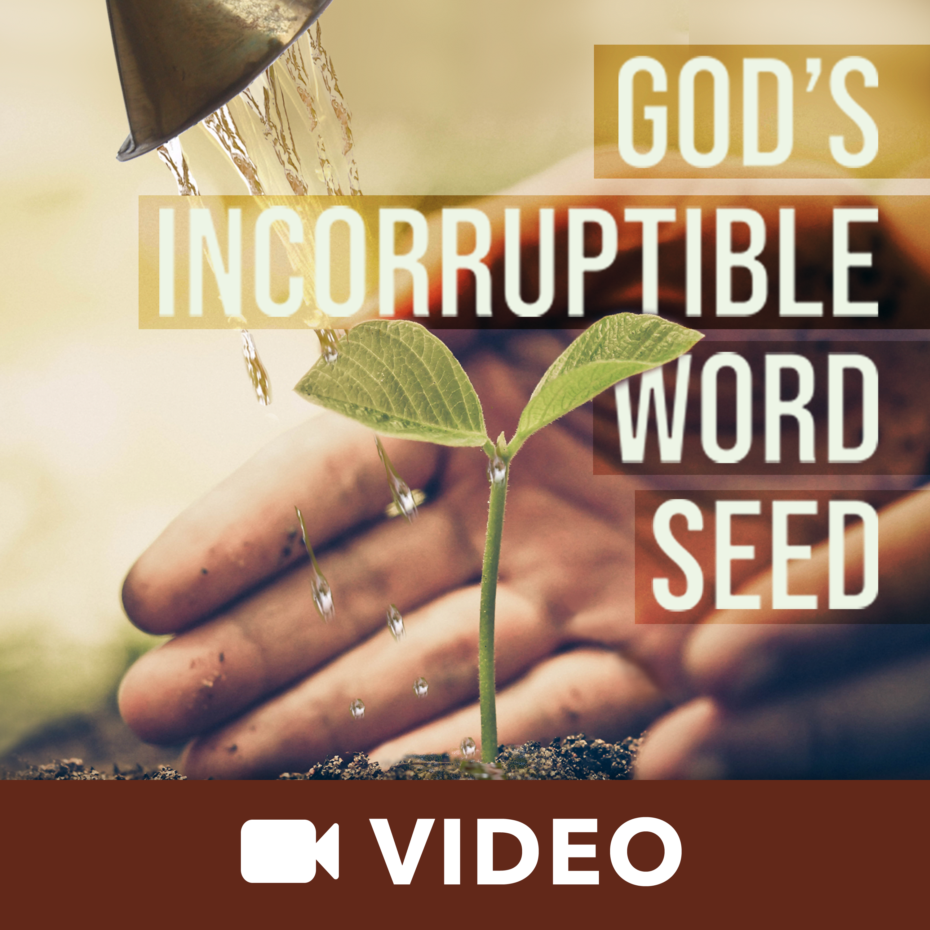 God's Incorruptible Word Seed (Video) podcast artwork